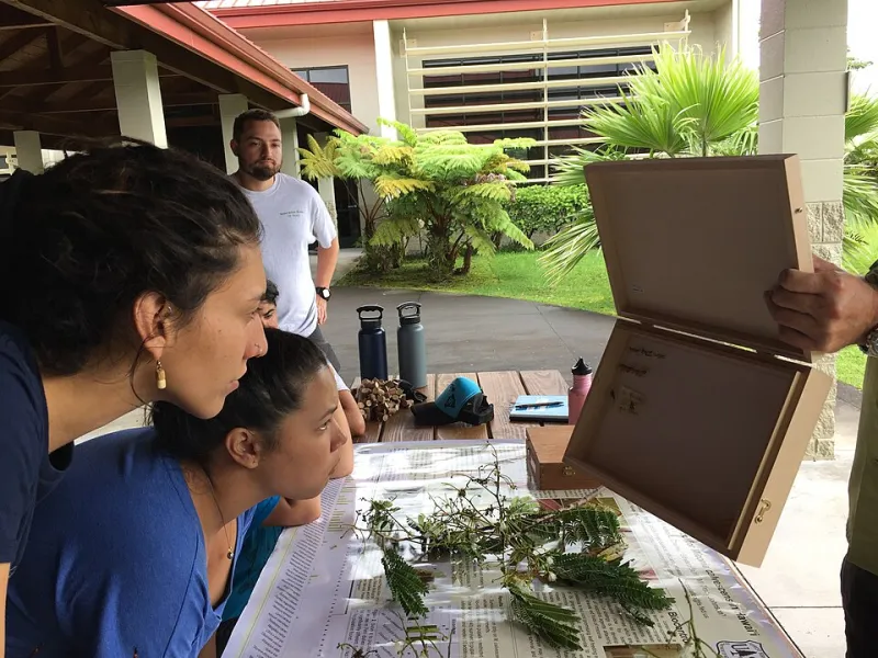 Smallholder Fields, Big Lessons: Why American Ag Students Are Spending a Semester in India