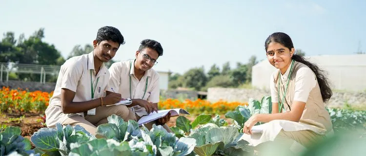 Inside India's Centralized Agriculture Admissions: A Primer on UP CATET for American Educators and Students
